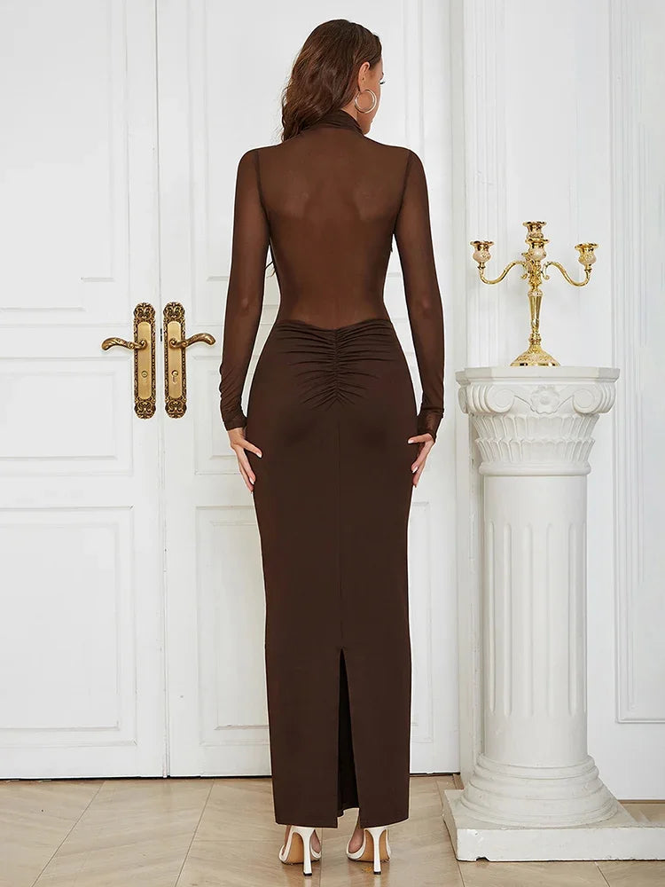 Betsie Long Sleeve Mesh Bodycon Long Dress
