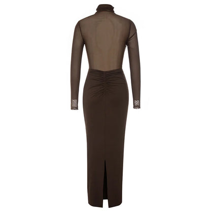 Betsie Long Sleeve Mesh Bodycon Long Dress