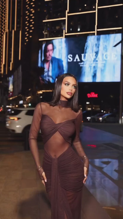 Betsie Long Sleeve Mesh Bodycon Long Dress